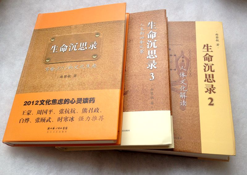 生命沉思录金句