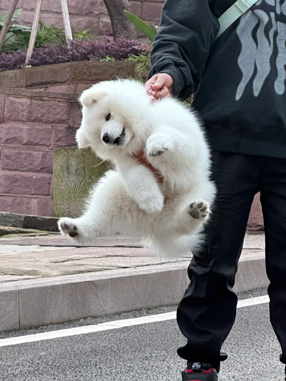 捂脸壁纸图片