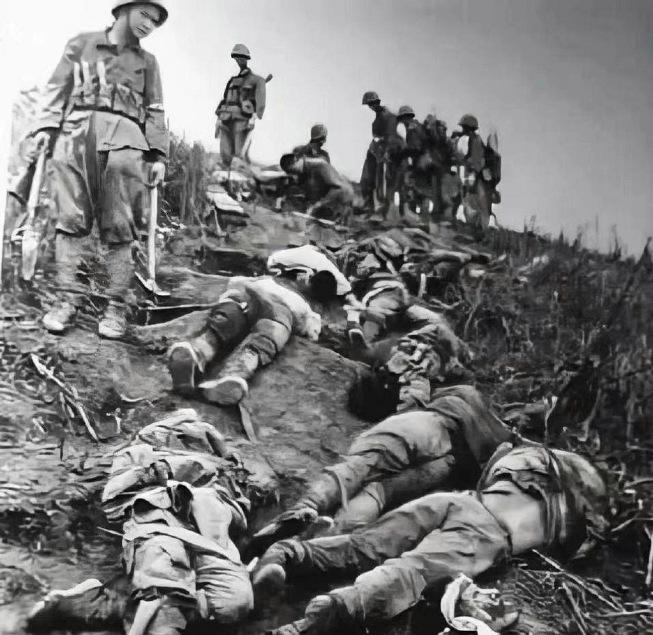 老山战役中,牺牲的解放军战士遗体堆满了山坡,令人痛心