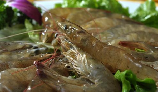 草虾和基围虾区别