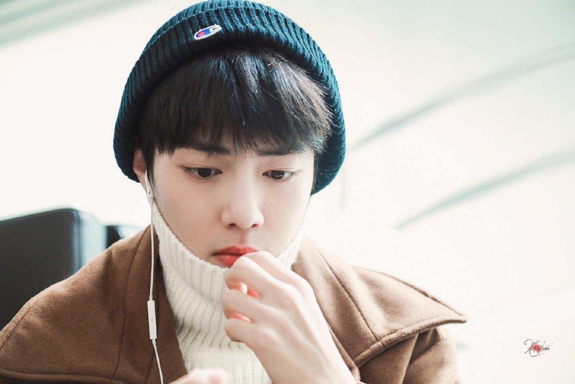 坐下来可爱,站起来超大的183巨兔 #肖战