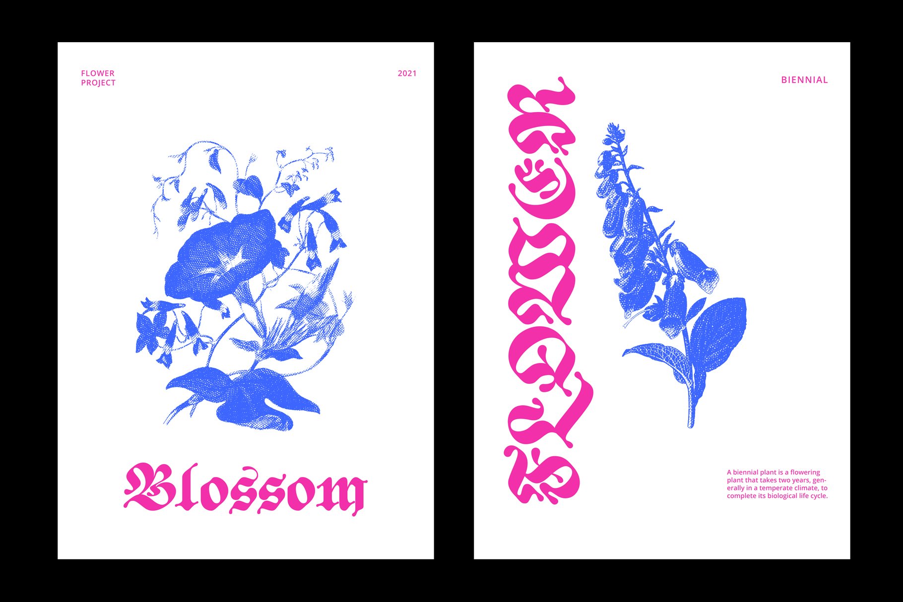 ED Begonia Font-7.jpg