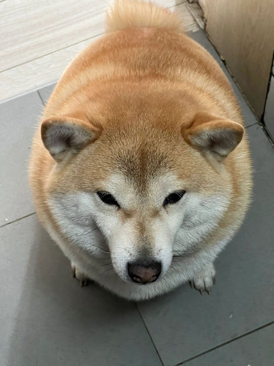 快看啊,这个煤气罐多圆