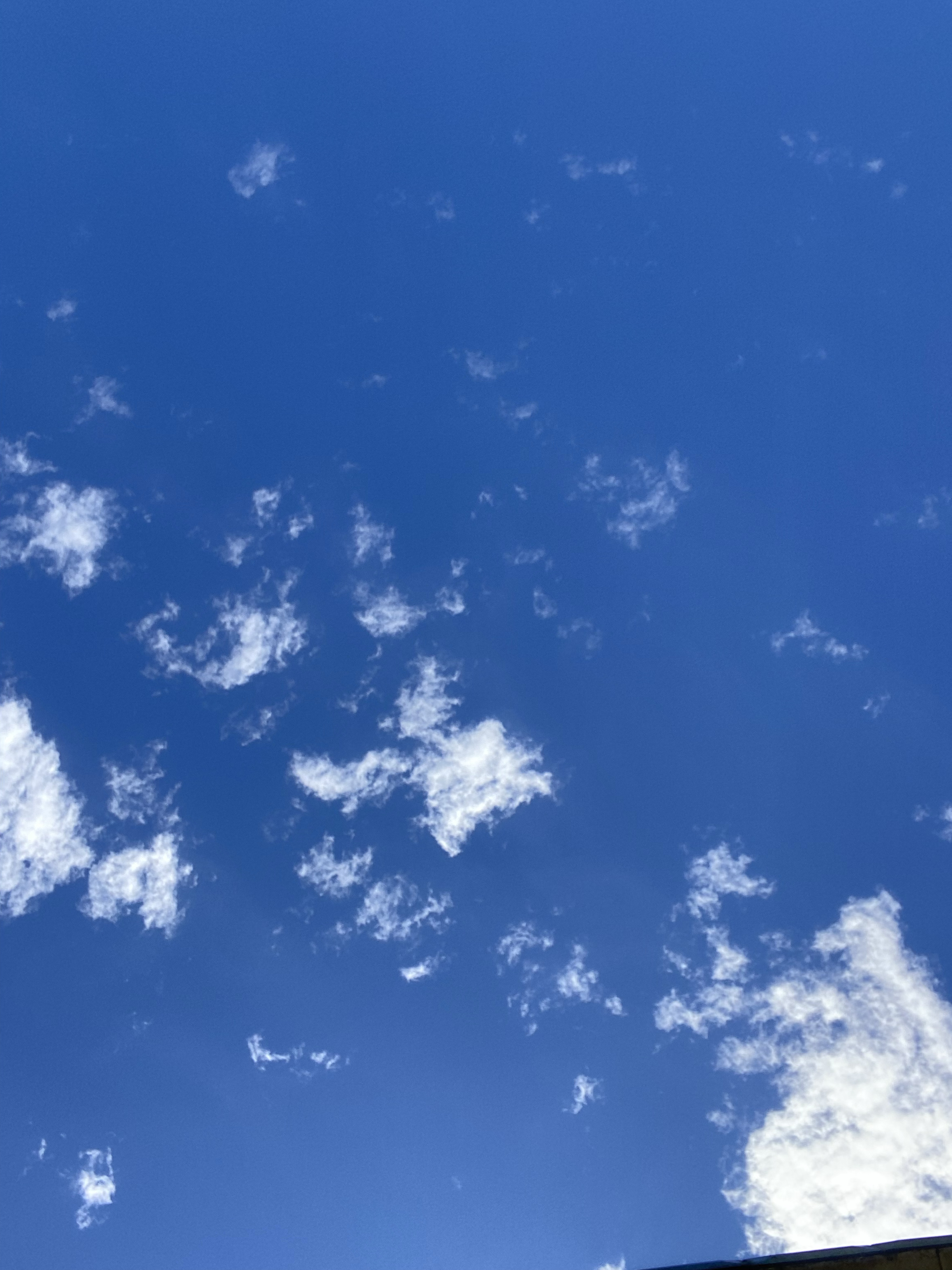 每天阳光明媚心情舒畅