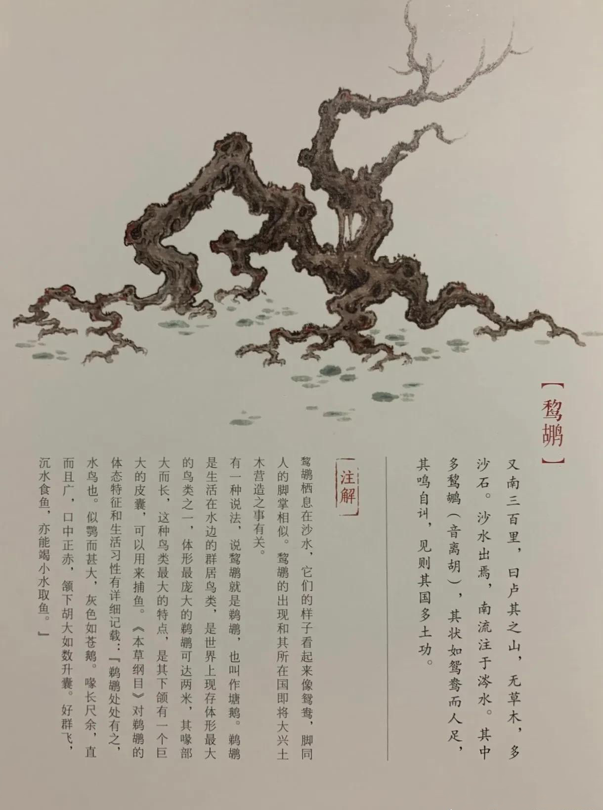 国学《山海经》东山二经—鵹鹕,一个动物能够大兴土木的真相