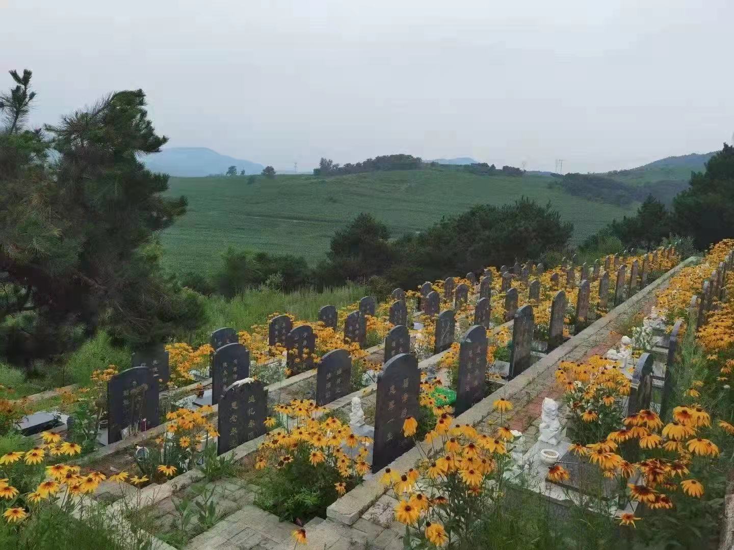双龙山公墓图片