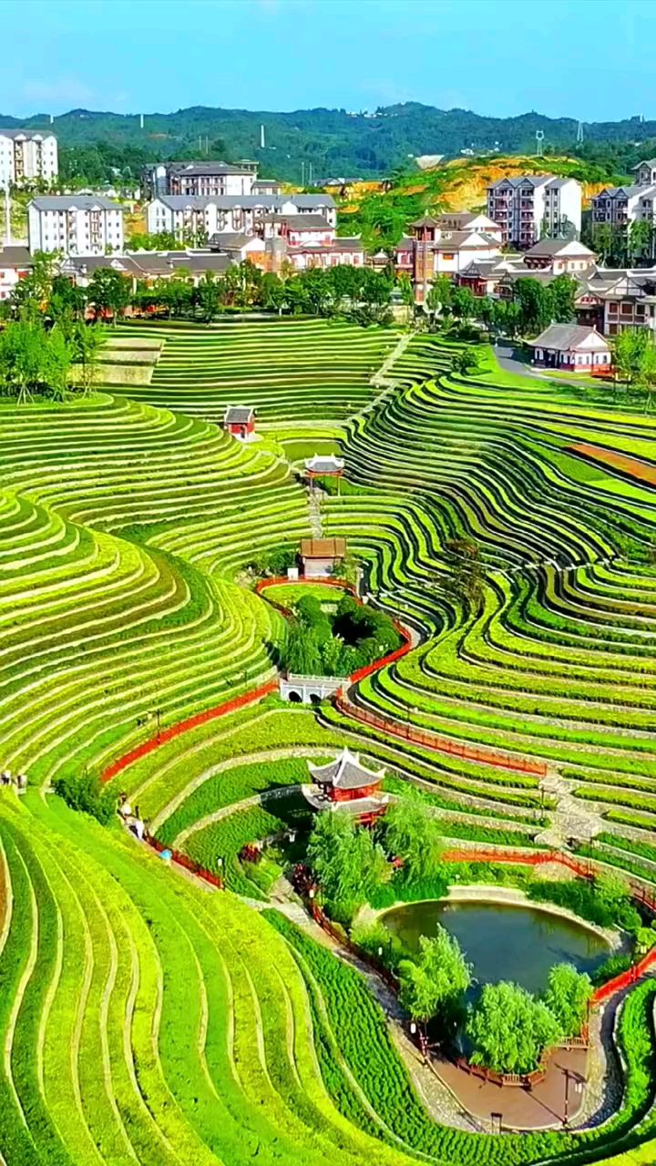 贵州毕节的奢香古镇竟然藏着一个漂亮的梯田花海,高空俯瞰像大地的