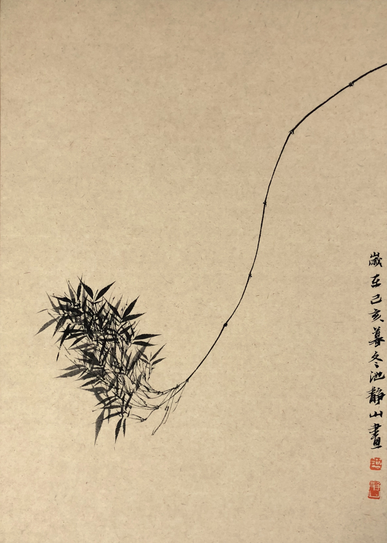 一枝竹影入画中