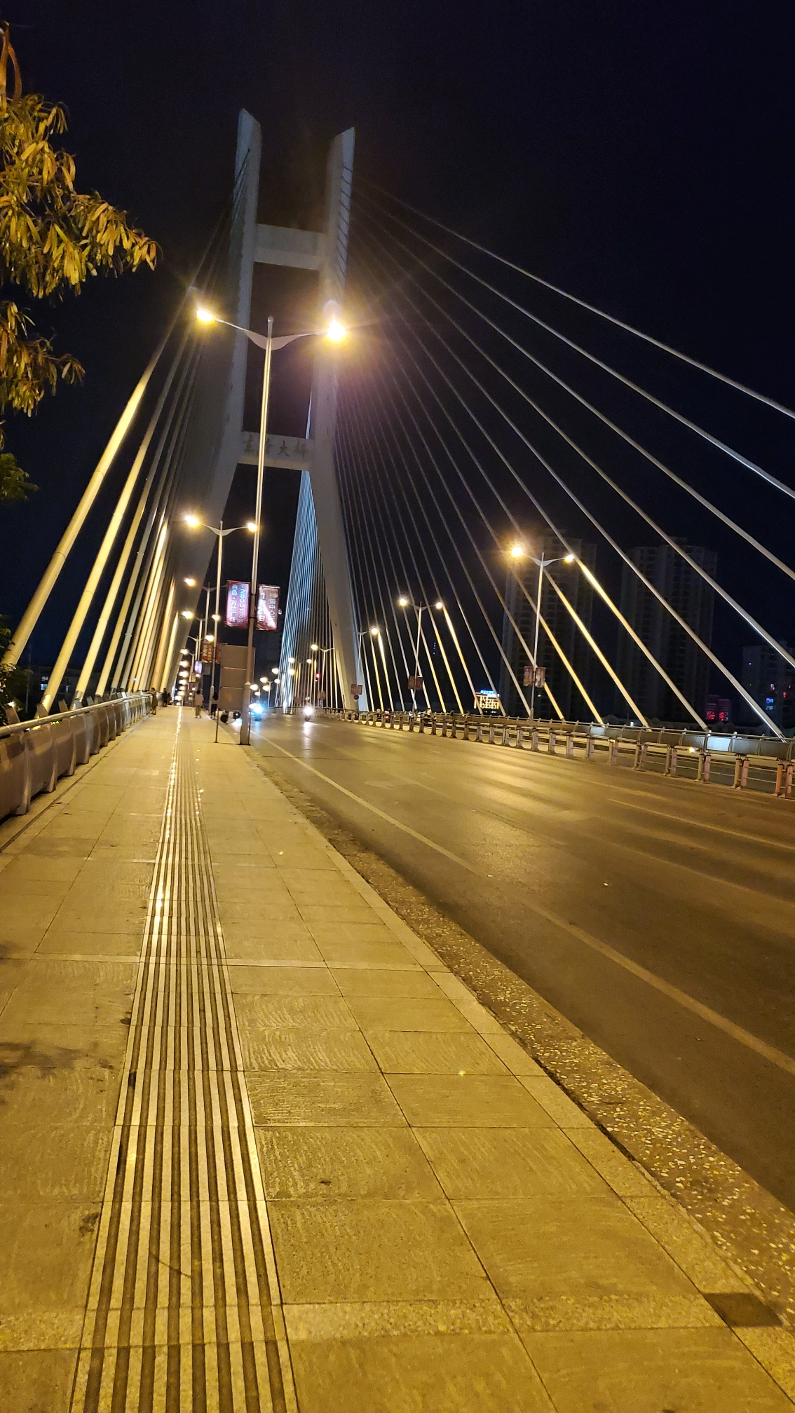 百色夜景,网红桥东合大桥