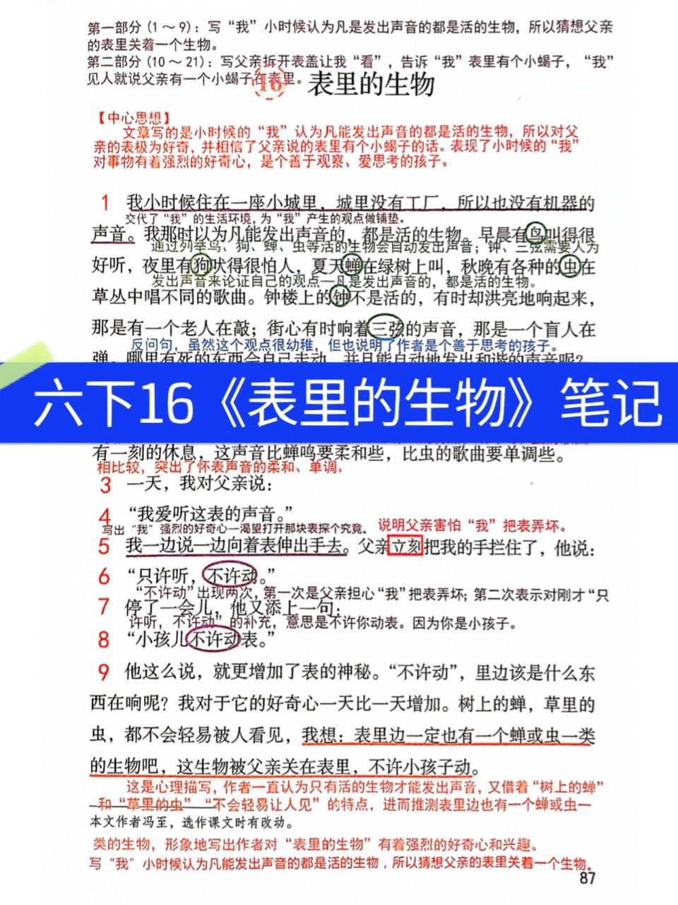 六下语文16《表里的生物》课堂笔记 六下笔记持续更新中,可进我主页