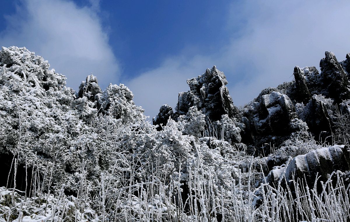 銀裝素裹華鎣山,聽說1月和雪景更配哦