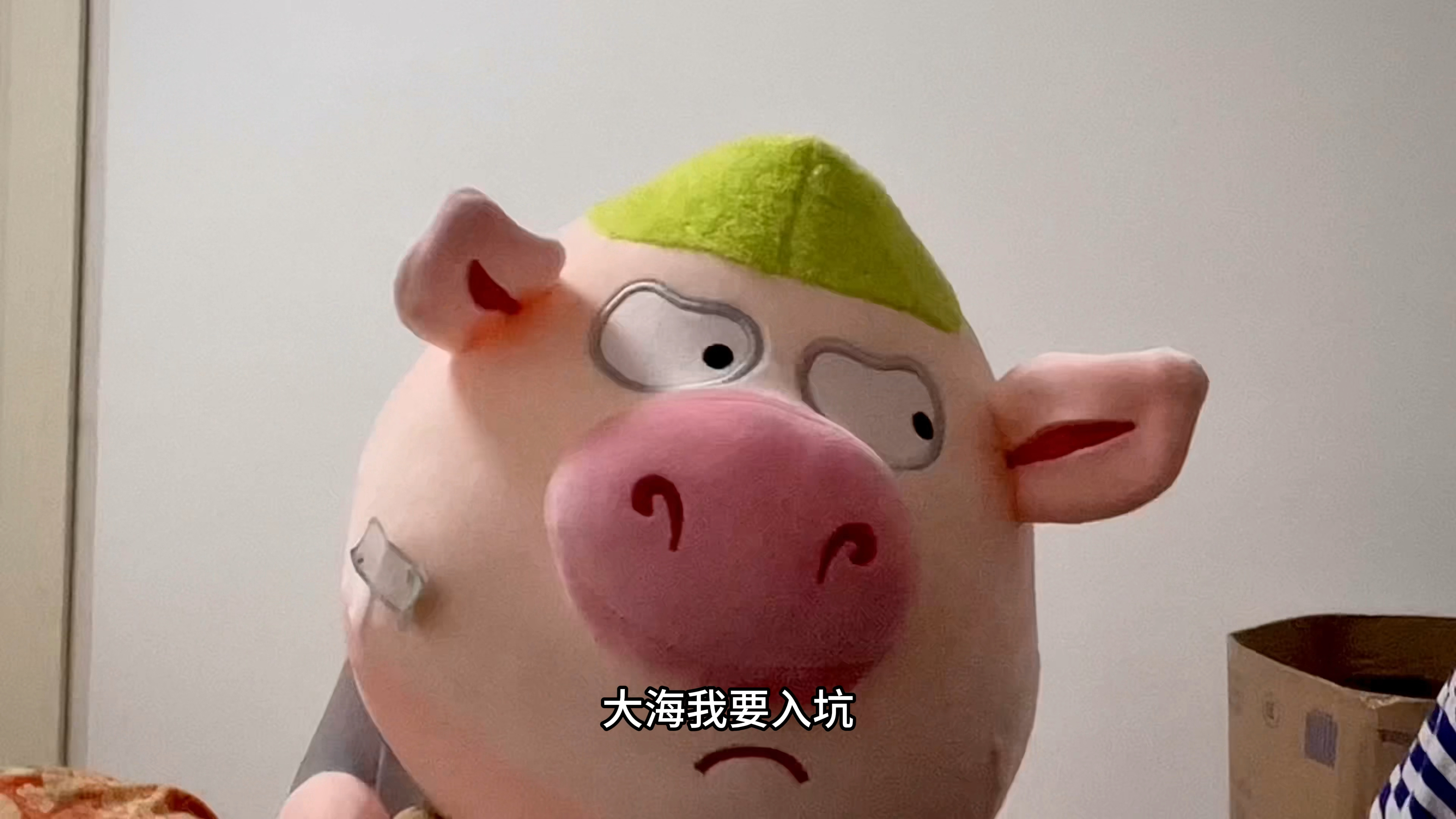 新手如何选择鱼竿?