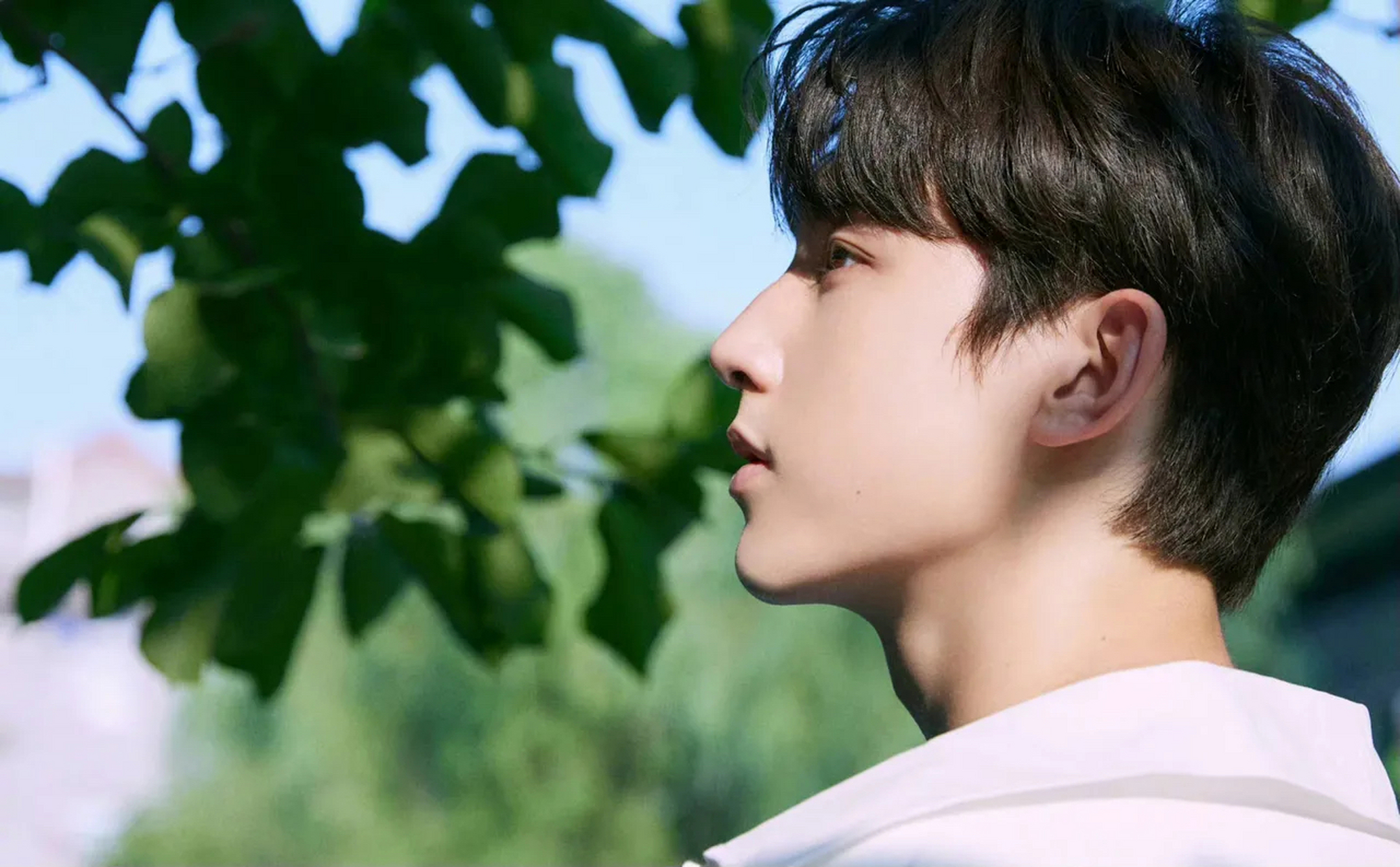 郭俊辰清新写真!