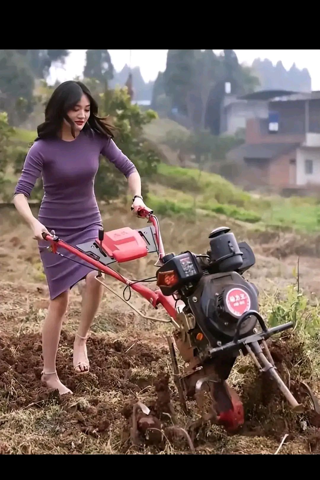 女主播穿旗袍高跟鞋干农活,穿着暴露,引发网友激烈争论