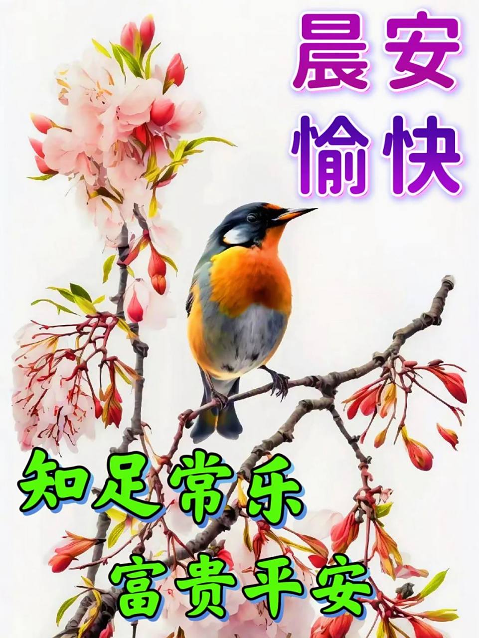 晨曦初露,美好的一天开始了. 2. 早安世界!