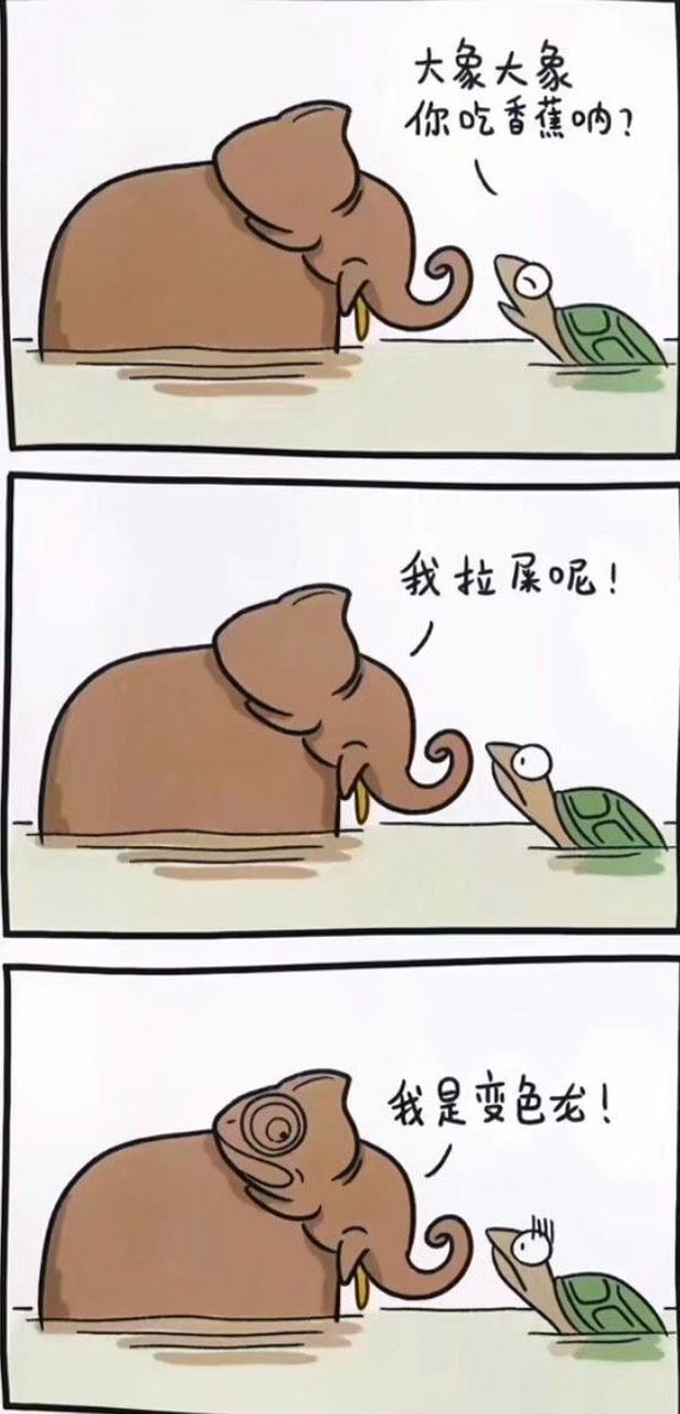 大象吃香蕉 变色龙拉粑粑