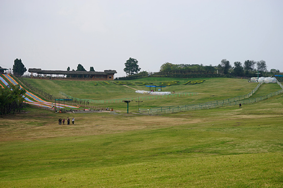 内江川南大草原图片