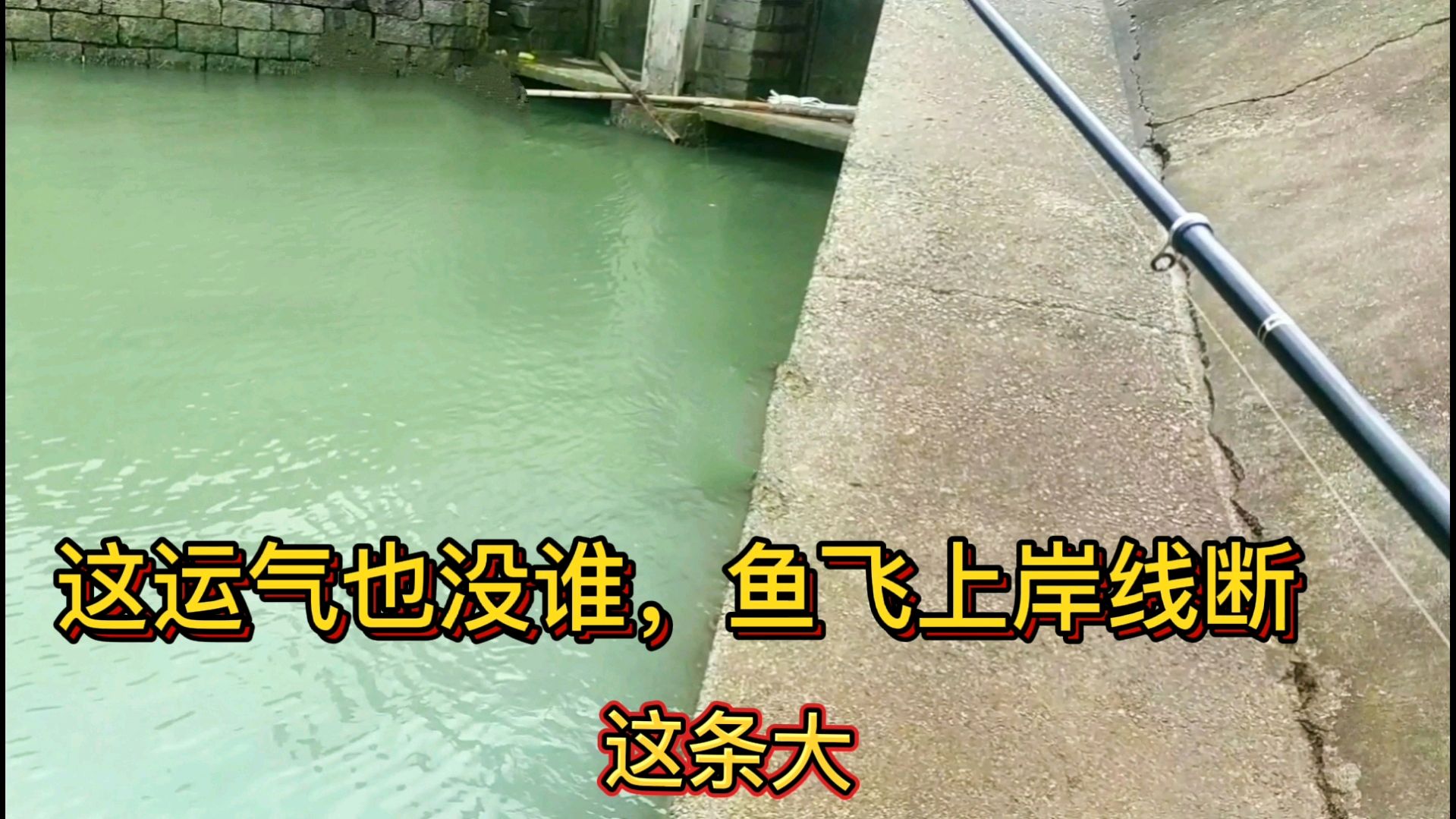 新找闸门钓鲈鱼,里面真有货,能上这条鱼运气好到爆太惊险
