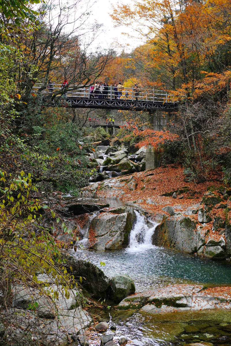 光雾山米仓山风景
