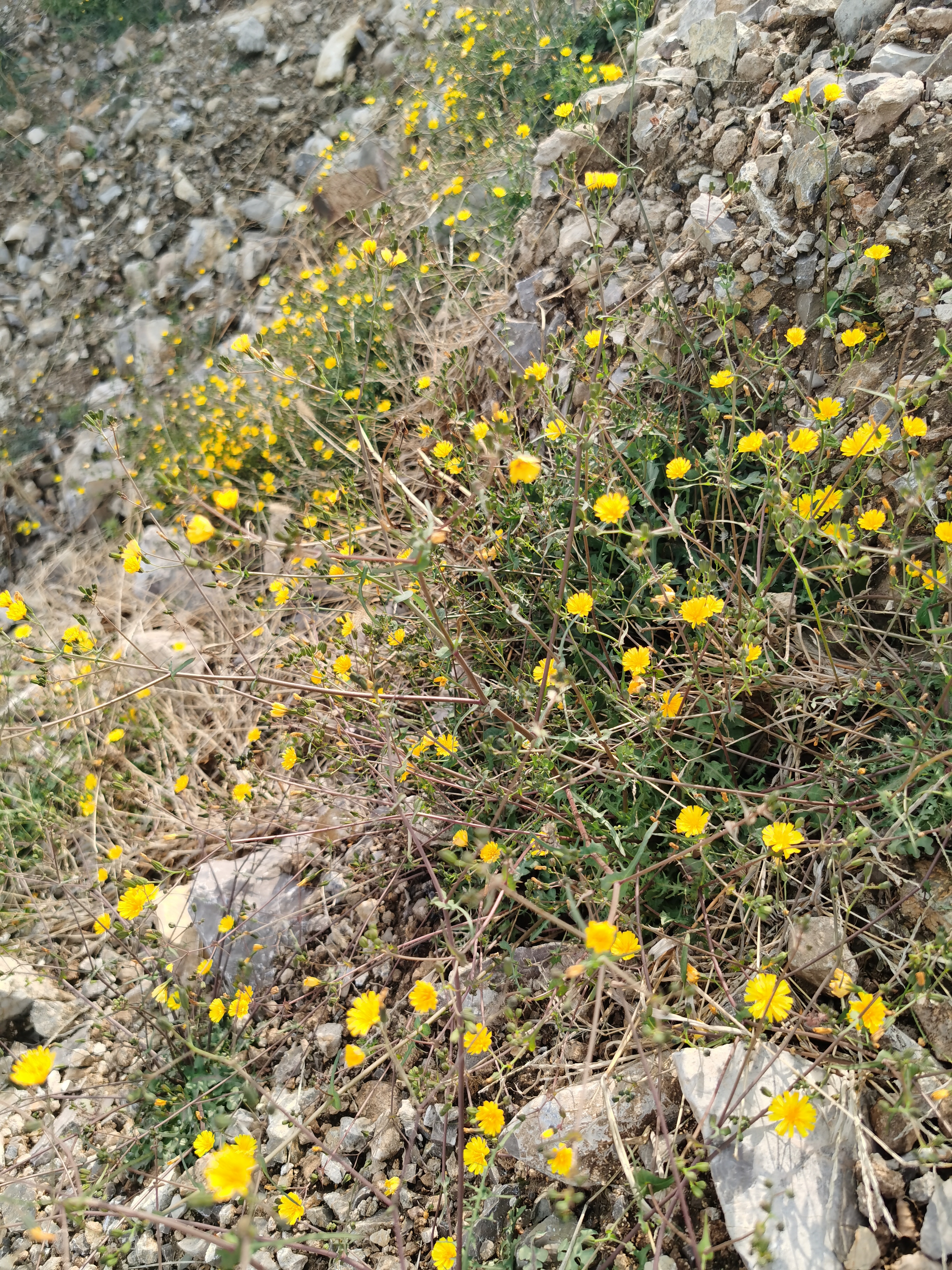 80后的中年危机