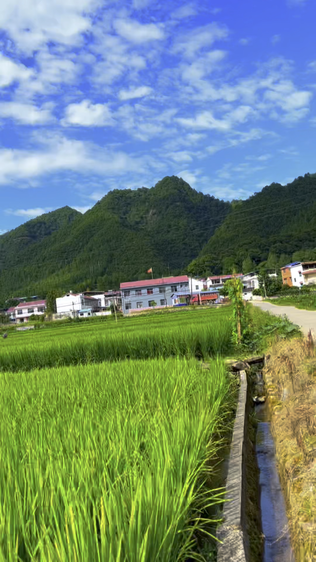 喜欢田间地头的风景,有我们童年美好的回忆.