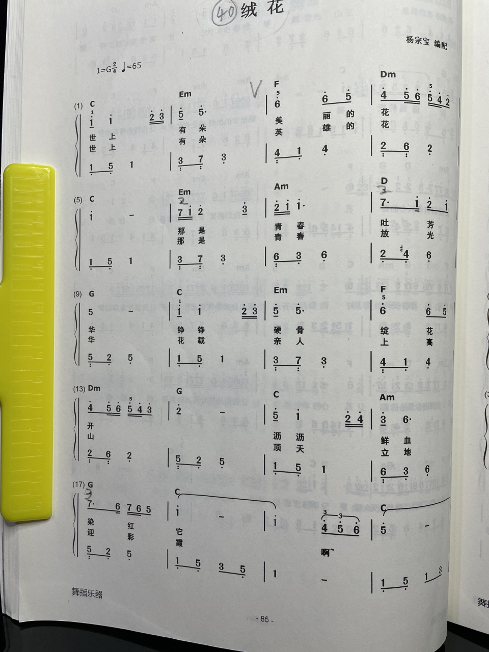 《绒花》的谱子.