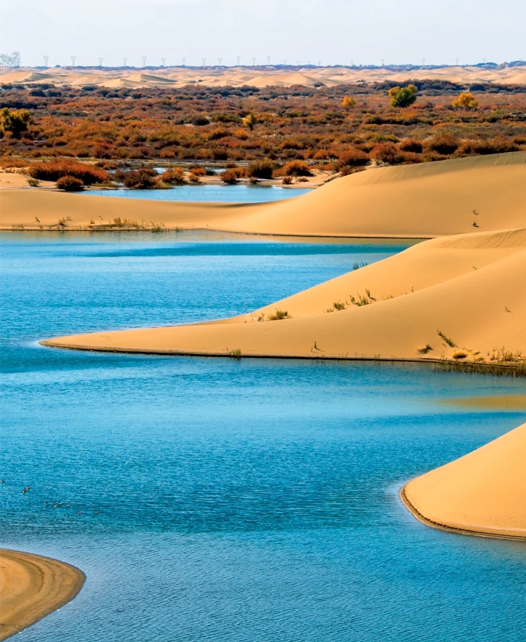 沙丘上的沙子晶莹剔透,受阳光照射时,闪烁着金色的光芒