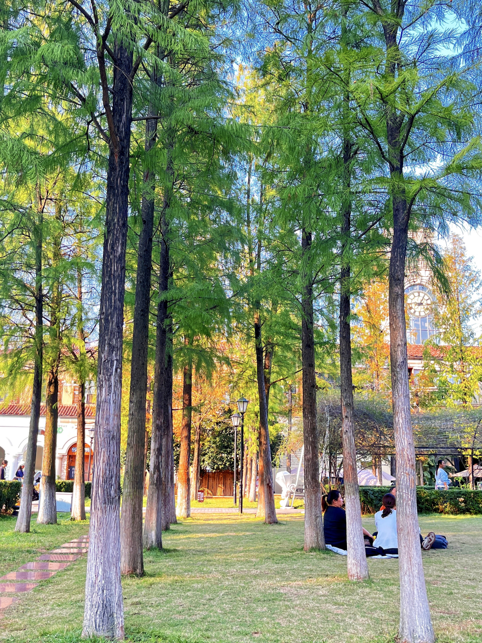 长沙适合一个人无聊闲逛的地方  小众人不多的公园,浏阳河婚庆文化