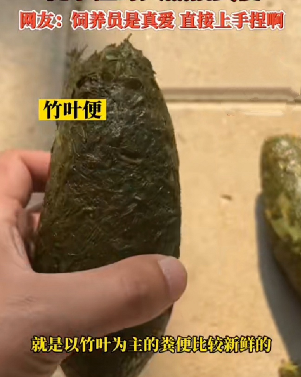 该饲养员褚先生称,大熊猫的粪便是不臭的,还有竹叶的清香,主要分为