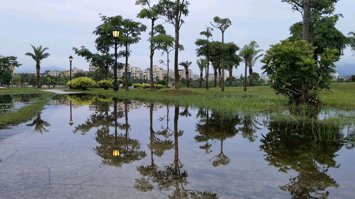 中山板芙滨江湿地公园图片