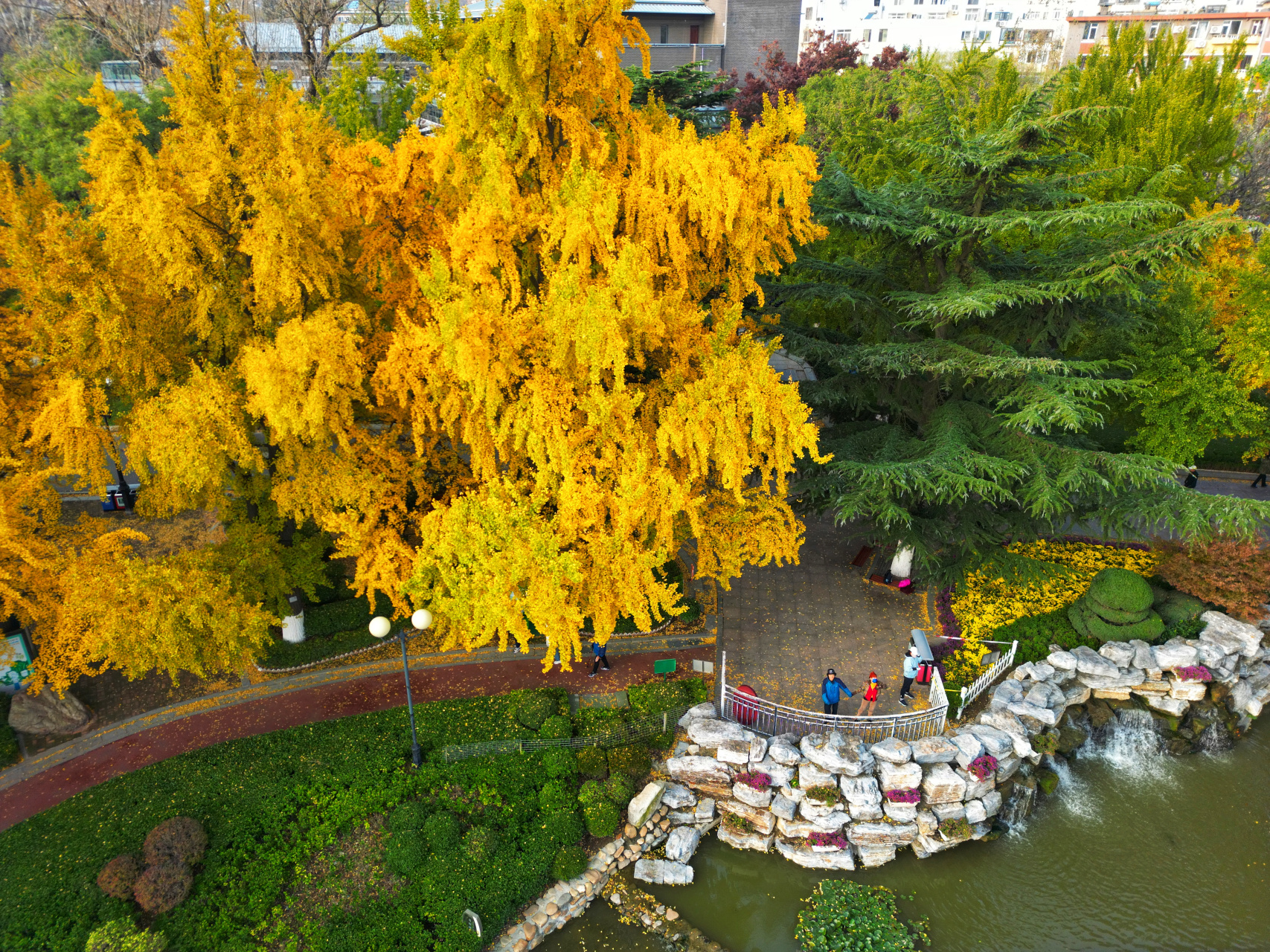 航拍大连儿童公园,看看美不美,大连百年历史的公园,空中视角看看,太