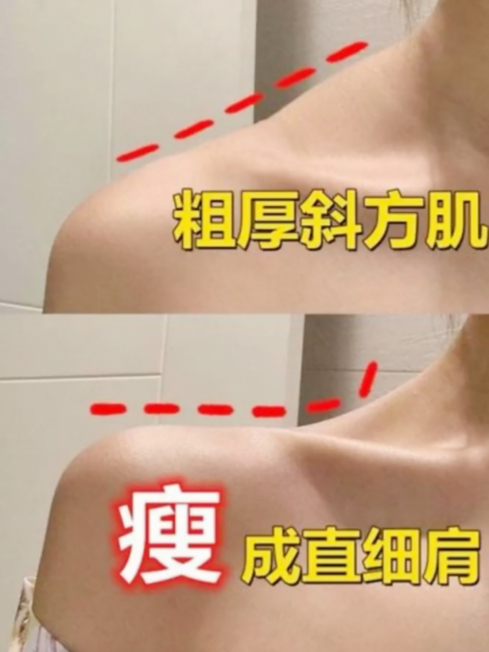 很多女性都想把自己的斜方肌练没有!其实想法很好,为了好看嘛!