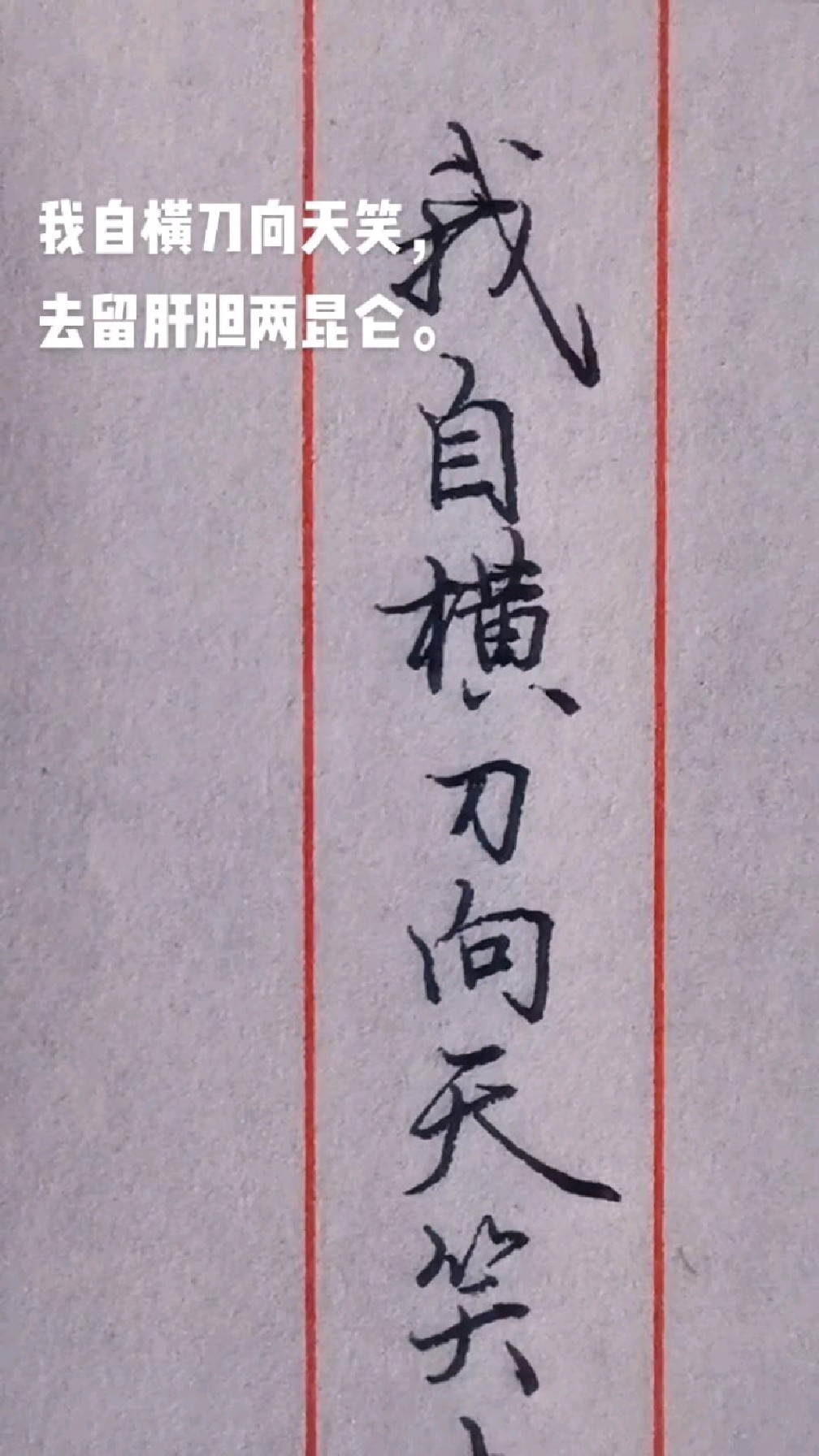 我自横刀向天笑去留肝胆两昆仑硬笔行楷欣赏