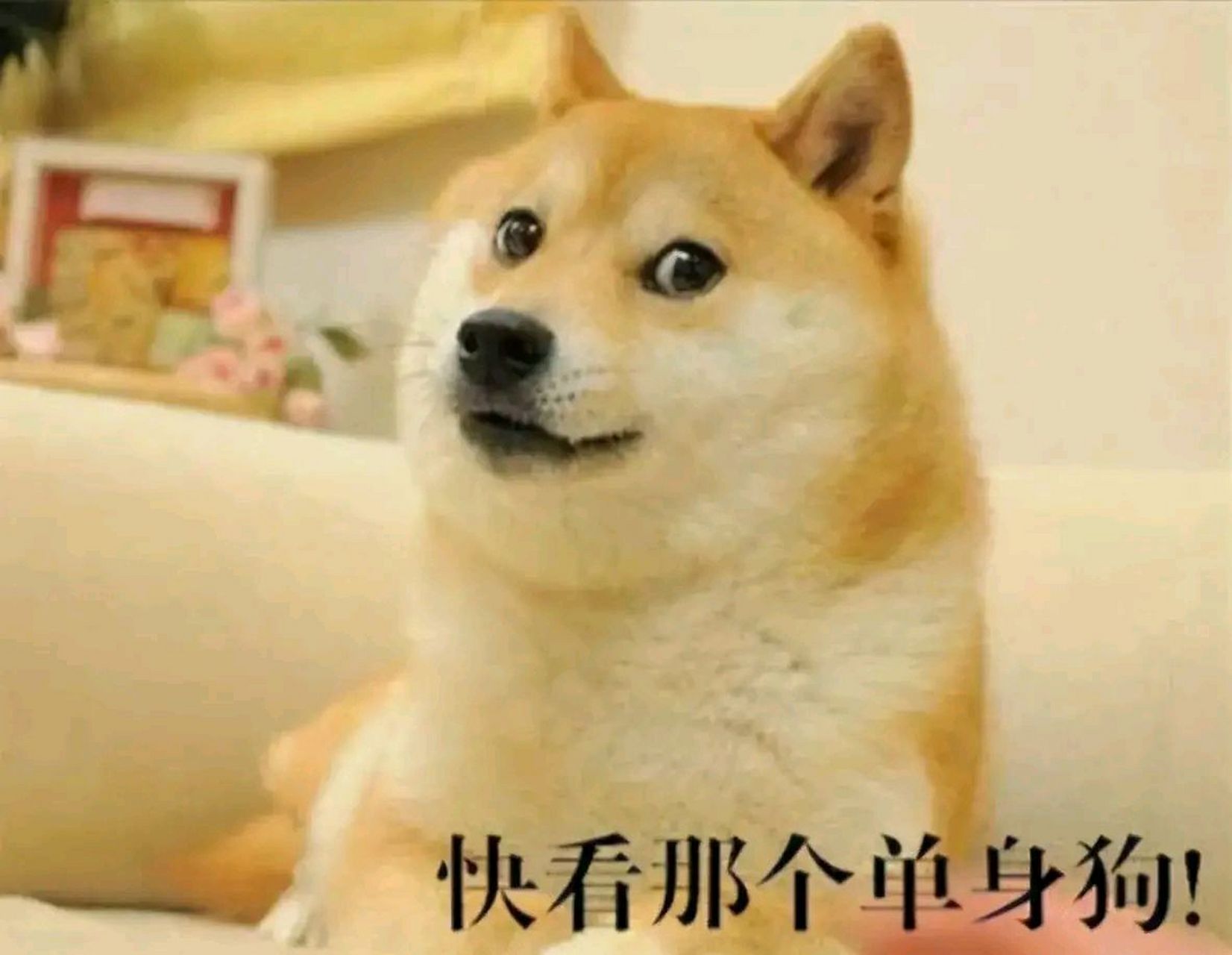 单身人口数量不断增加,他们不再满足于传统的生活方式,而追求自由独立