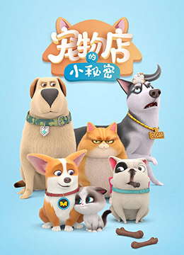 飞狗MOCO之宠物店的小秘密最新电影资讯网站
