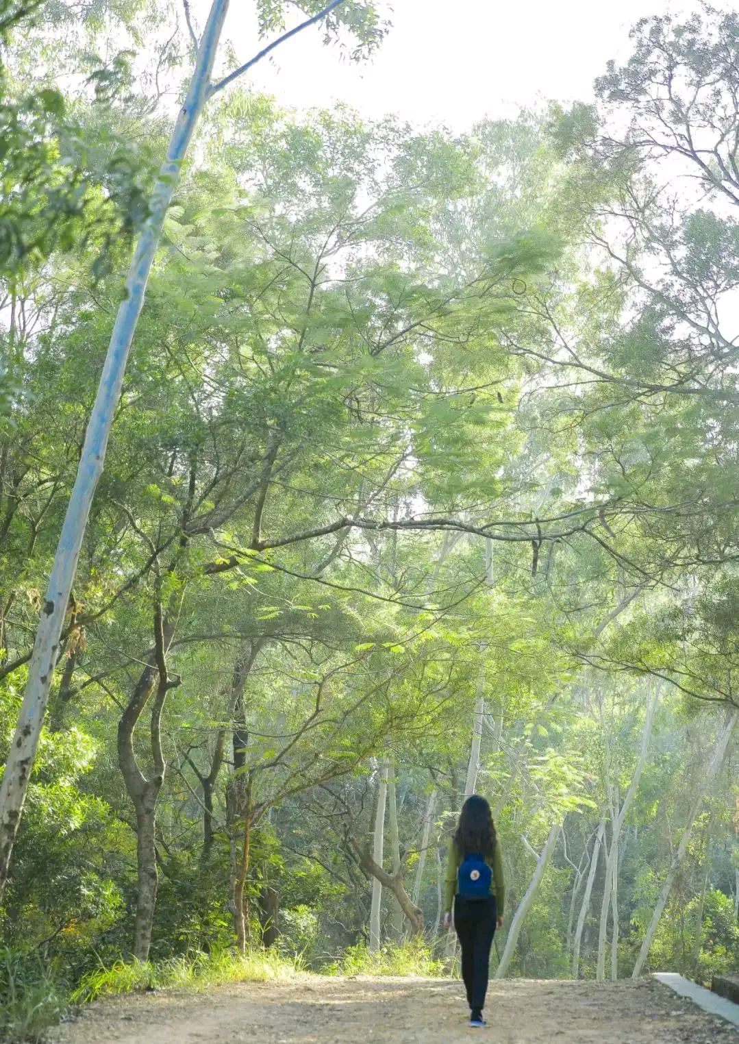 假日围岭公园爬山记