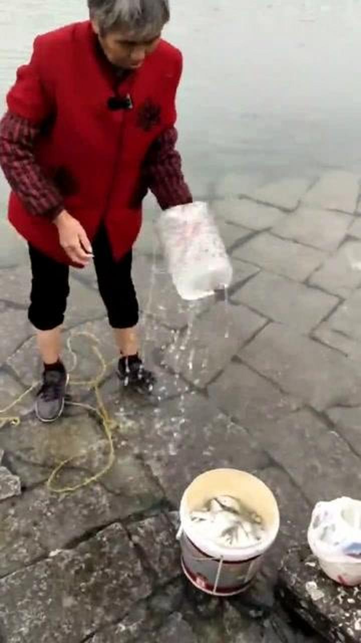 一个破旧的塑料桶,在大妈手里却成了捕鱼神器,这也太厉害了吧!