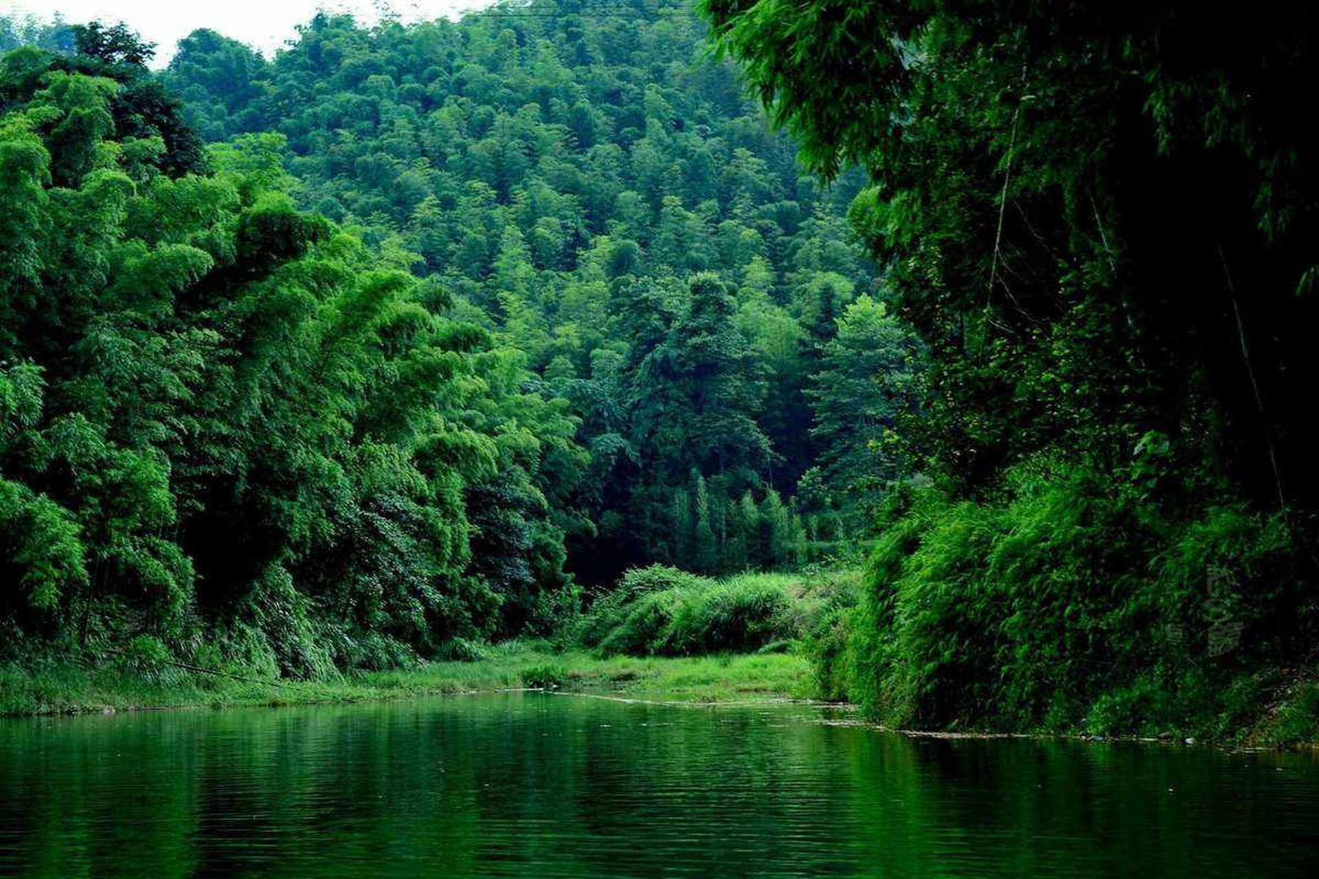 蜀南竹海,翠甲天下的绿竹公园.蜀南竹海地处四川盆地南端与云贵高原的