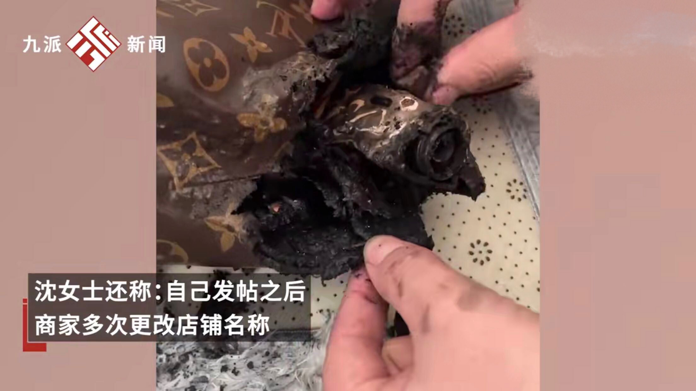 充电宝爆炸致1.68万lv包被烧毁.#奇闻趣事