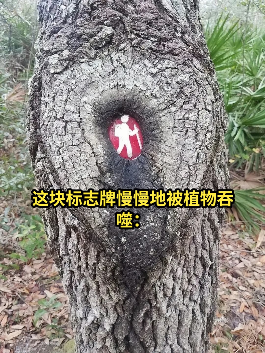 13张图片带你感受时间的强大!