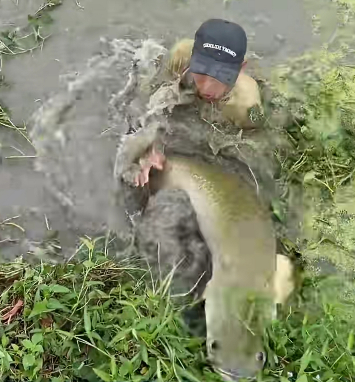 这条鱼,一尾巴能把人拍晕吧!