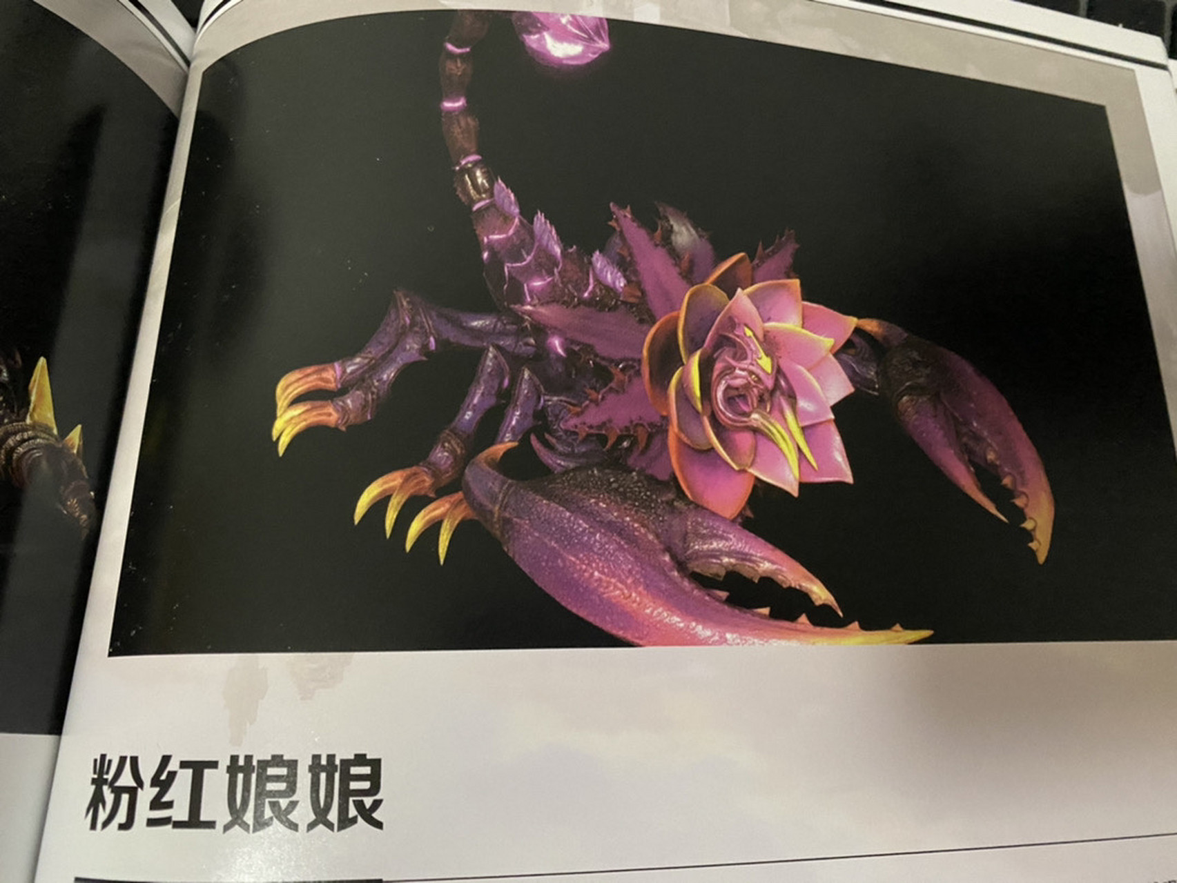 看过斗罗大陆动画设定集才知道,粉红娘娘和大地之王还真是天造地设的