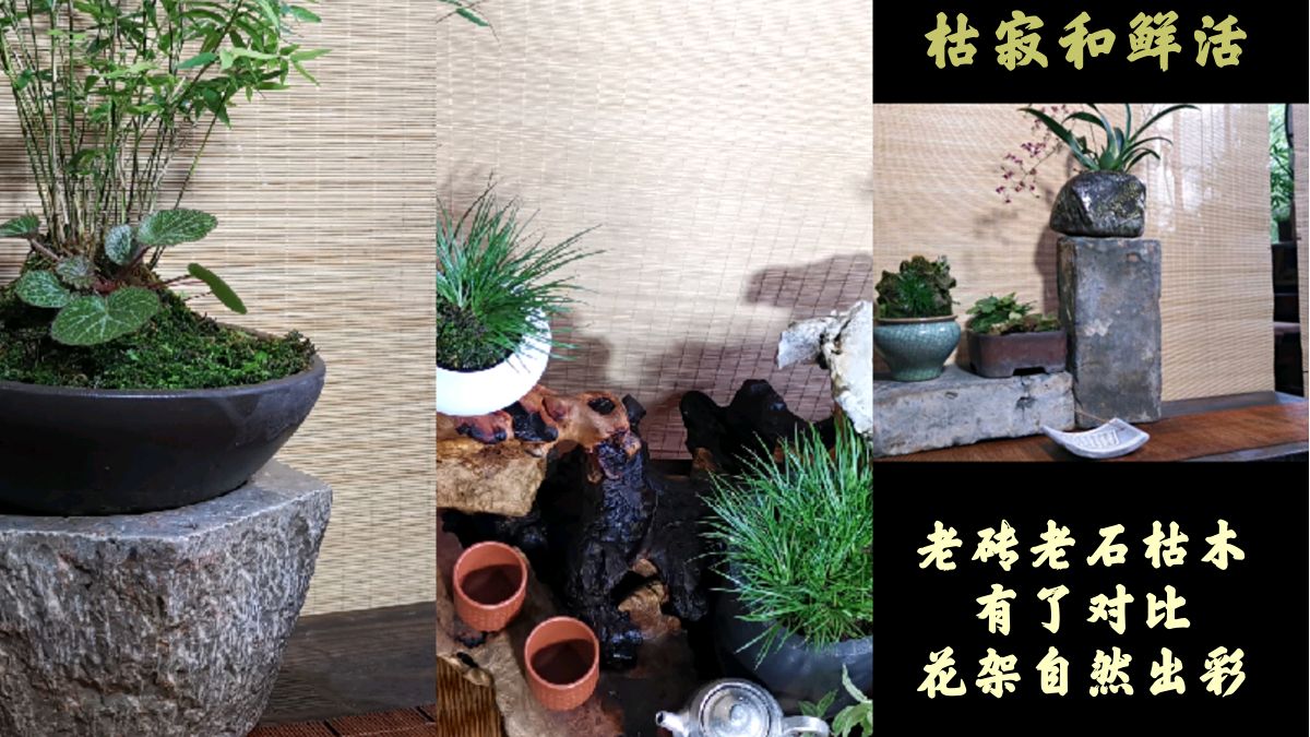 除了中规中矩的花架,其实砖头、枯木、石头做花几更有味道