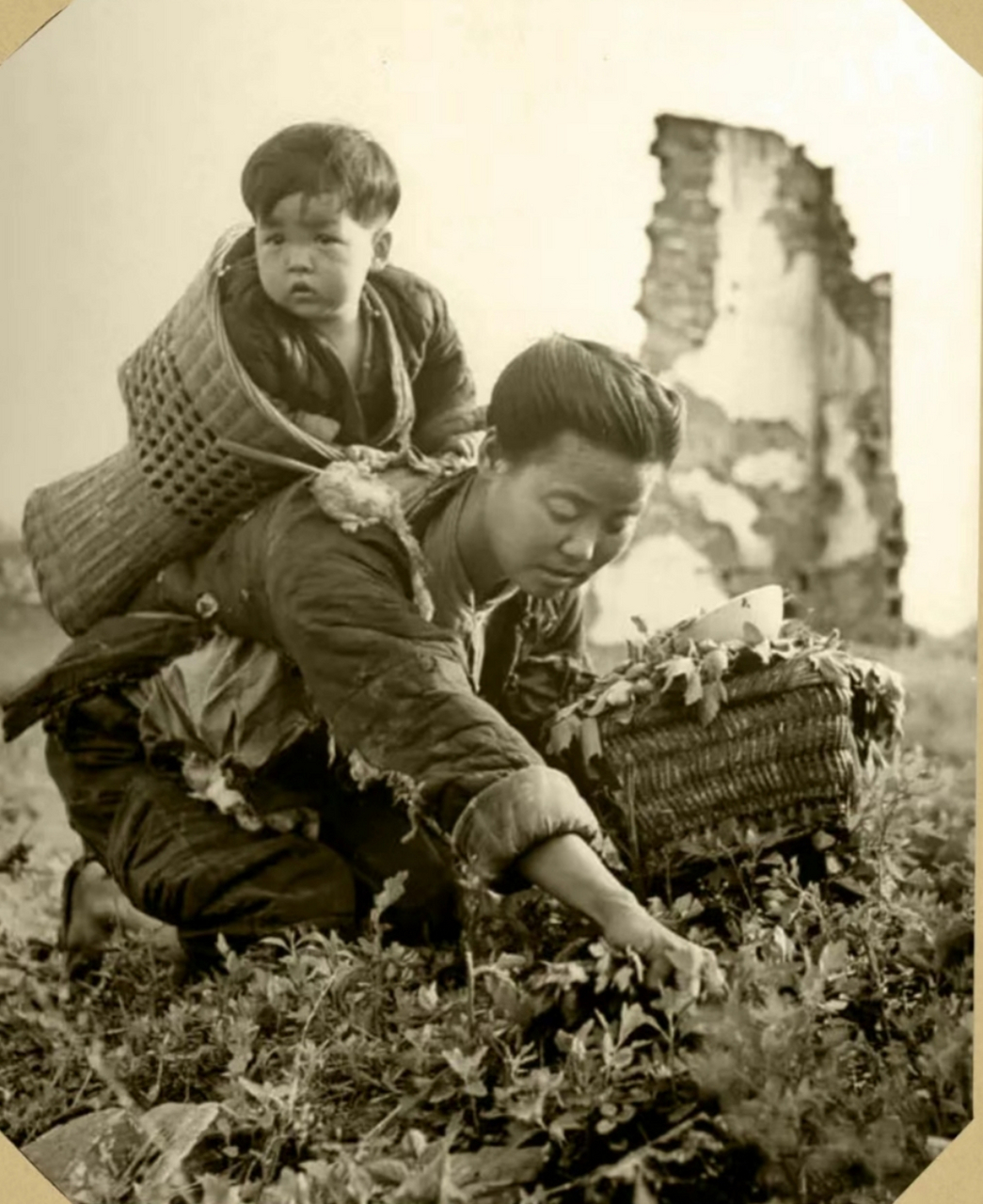 母亲背着孩子正在挖野菜,野草吃.