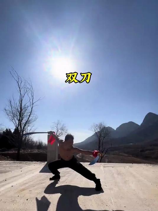 武术少林双刀
