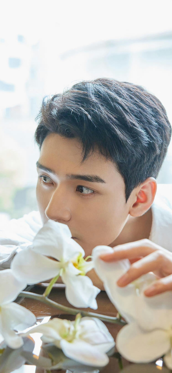 龚俊# 壁纸分享#明星