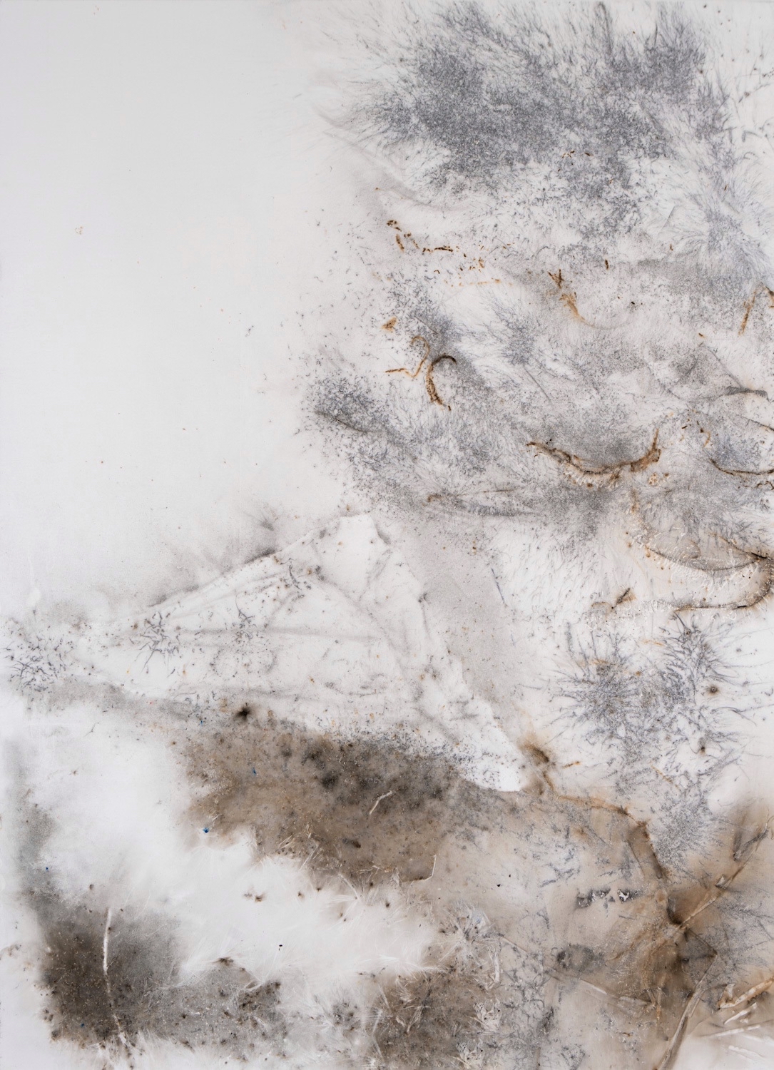 蔡国强烟火作品及手稿