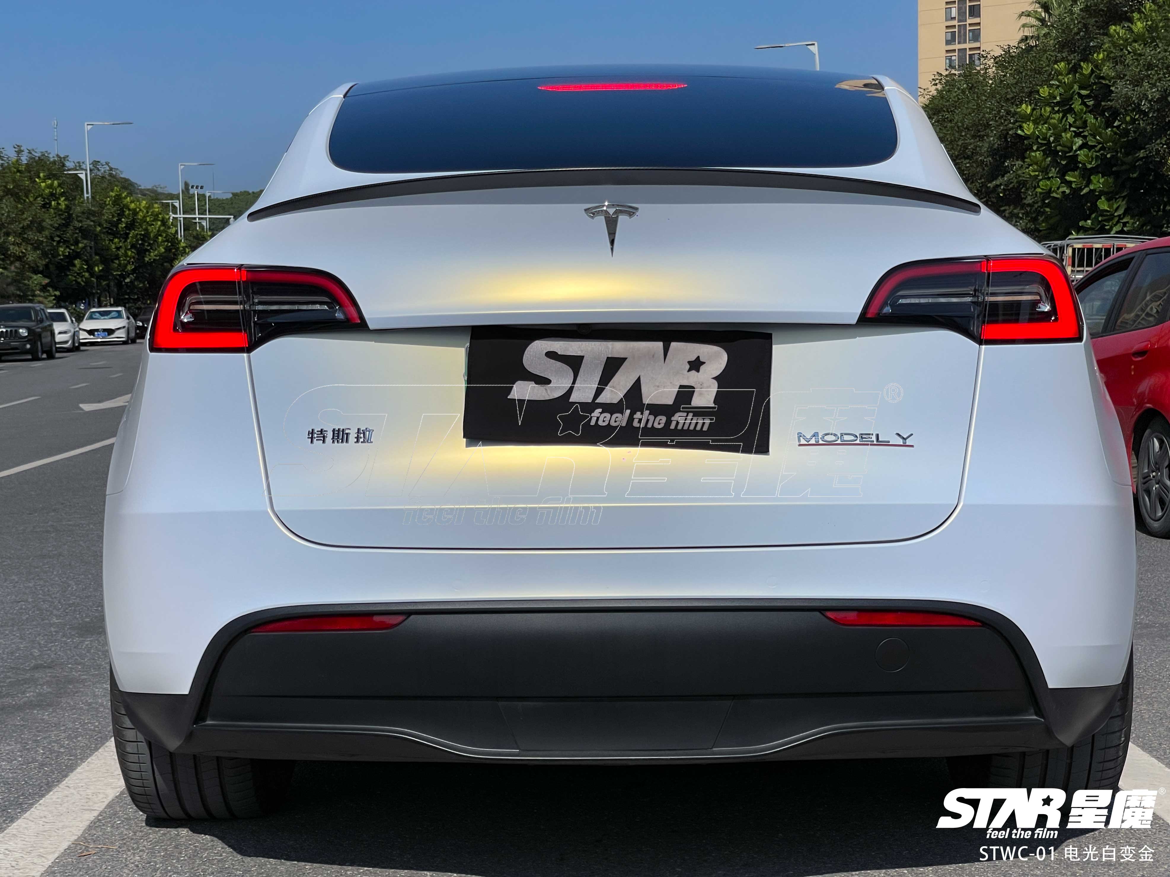 model y 电光白变金