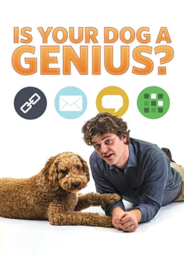 你的狗狗是天才吗