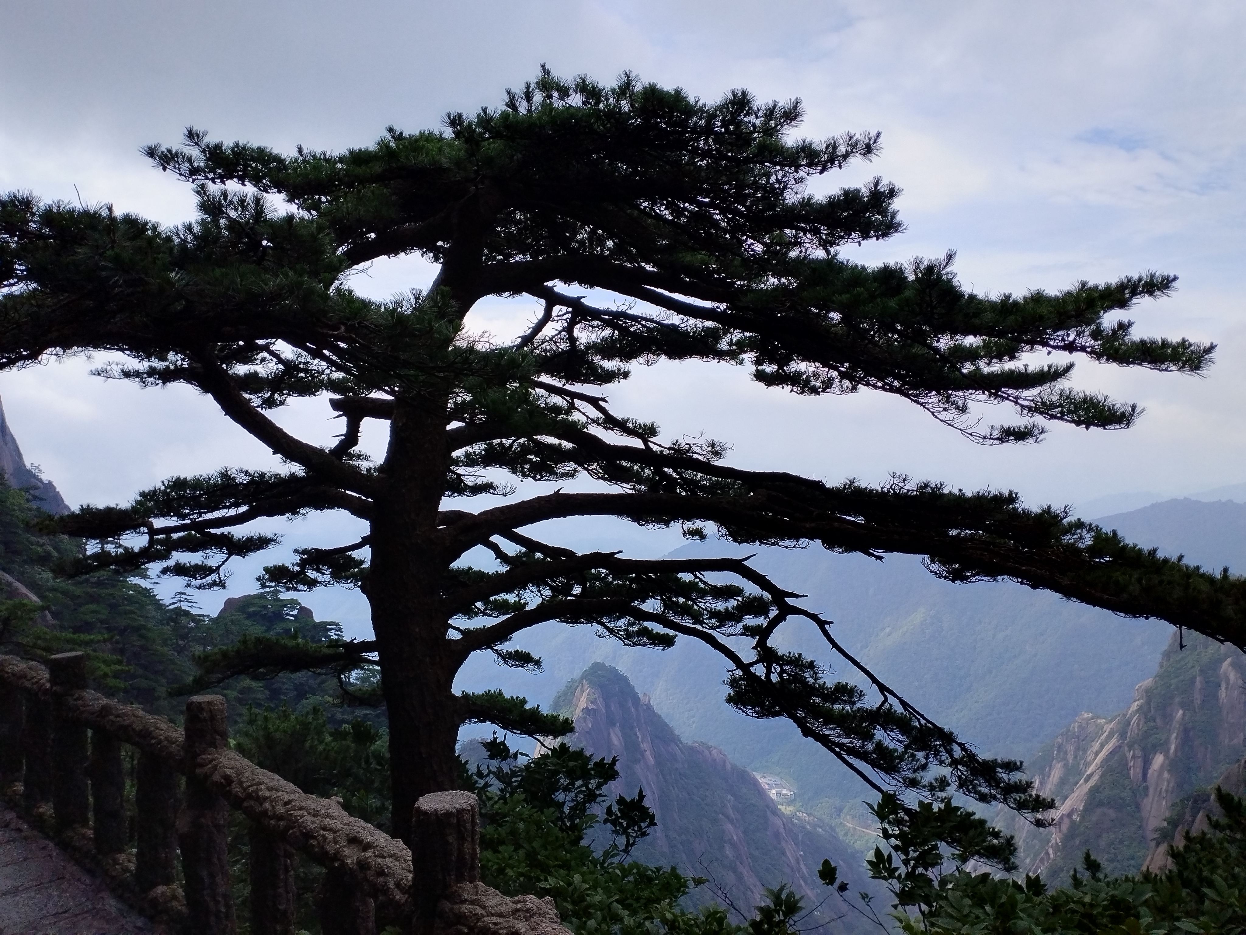黄山一日游详细攻略之三:畅游黄山第一站,迎客松景区